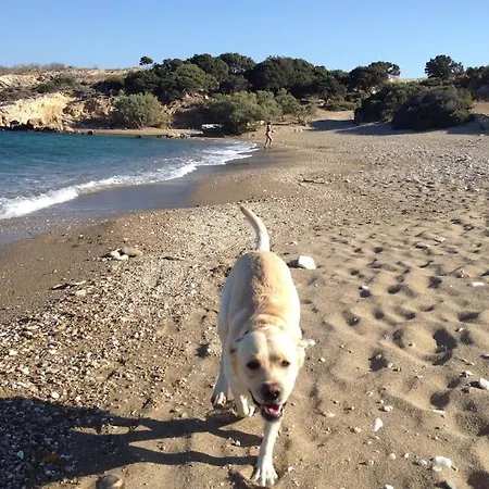 Paros Calm Maisonette With The Beautiful View *